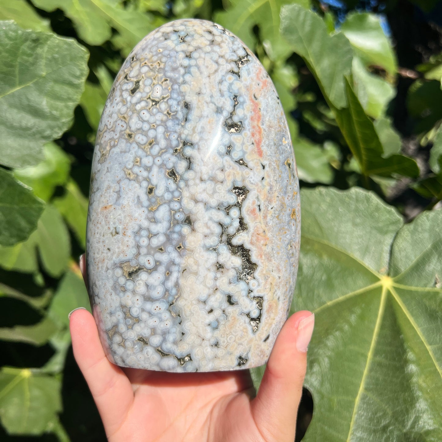 Ocean Jasper Free Form