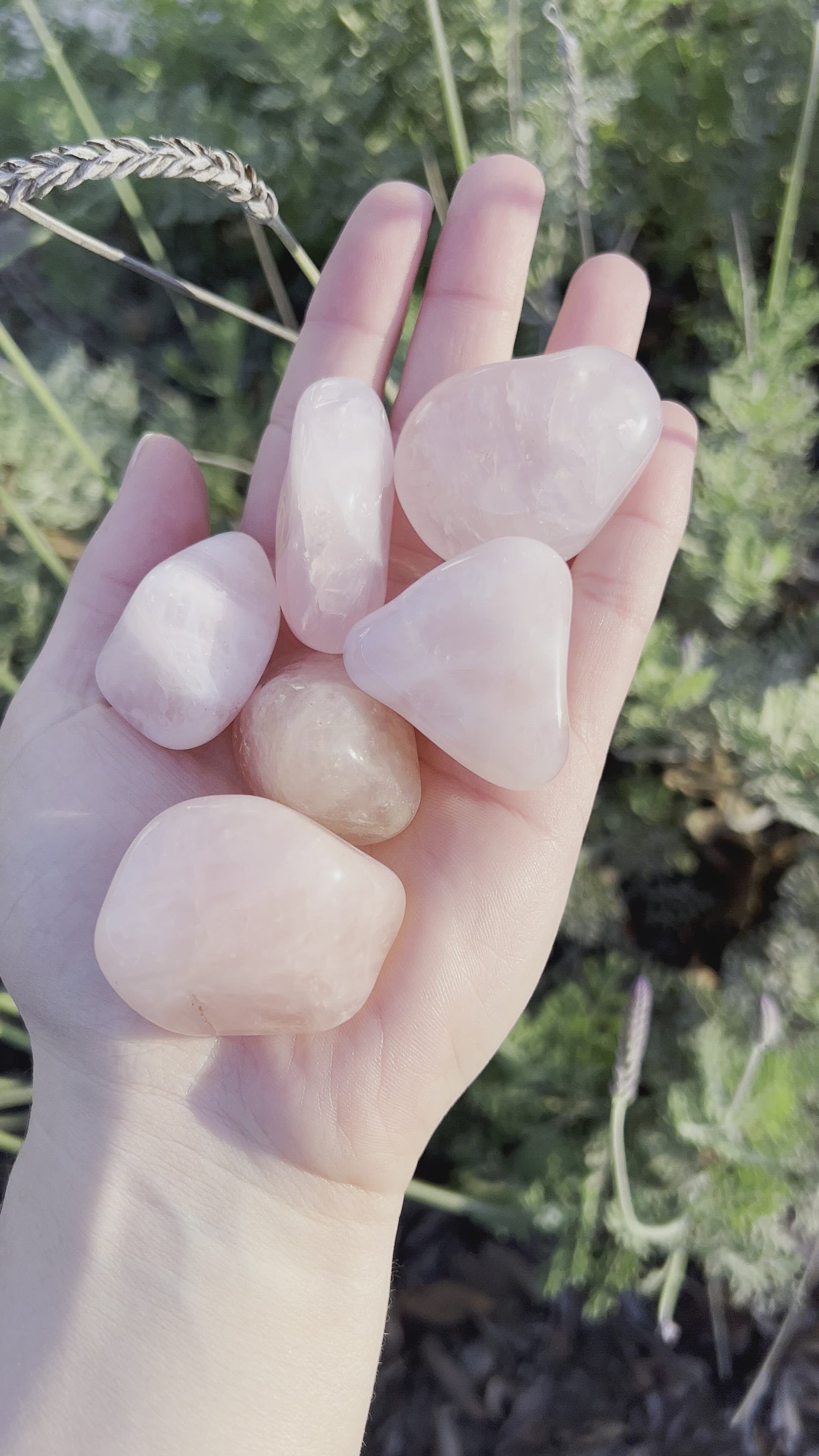 This listing is for one (1) Rose Quartz Tumble. Rose Quartz purifies and opens the heart to promote love, self-love, friendship, deep inner healing and feelings of peace. Calming and reassuring, it helps to comfort in times of grief. Origin: Brazil Size: 1.2 inches to 1.5 inches (30-40mm)